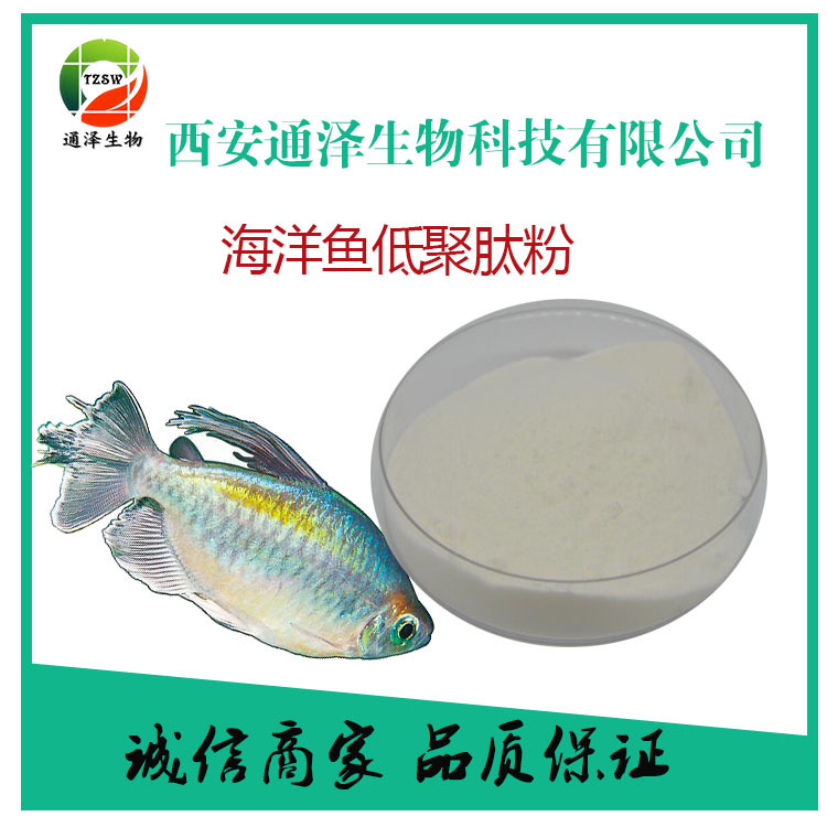 海洋鱼低聚肽粉85%海洋肽 深海鱼三文鱼软骨粉 现货供应1kg起订