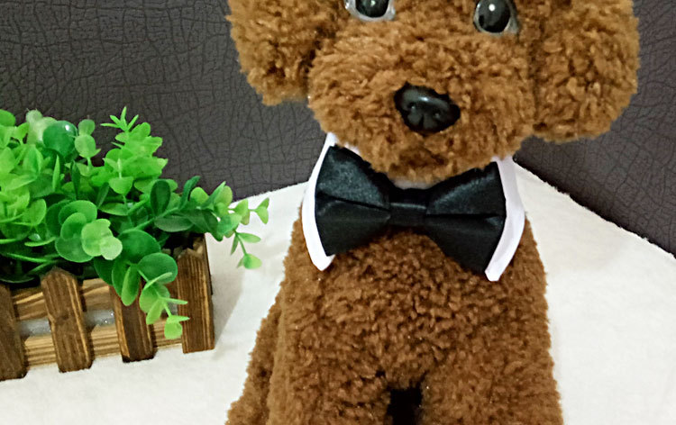 Pet Bow Tie Details