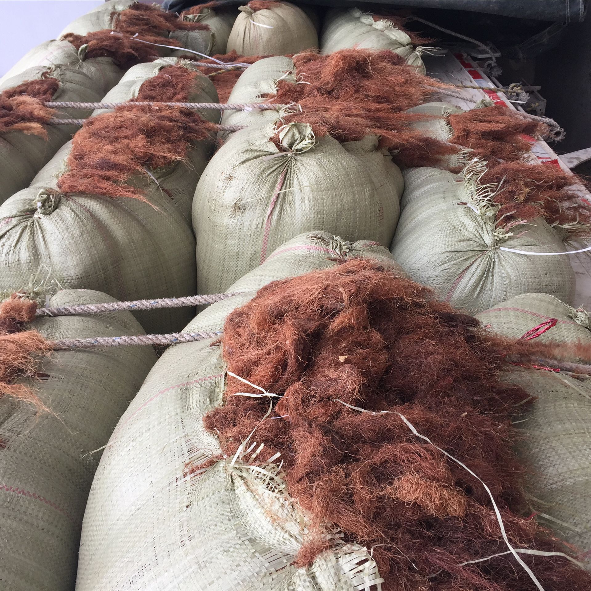 Corn Silk Yu Mi Xu 500g Dried Herbal Tea Material Hand Selected Natural Sun Dried specifications