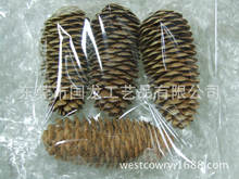 ��������(�ɼ��) ���N��Ȼ�ɹ� ���a����ɻ����� ���~�ɹ�