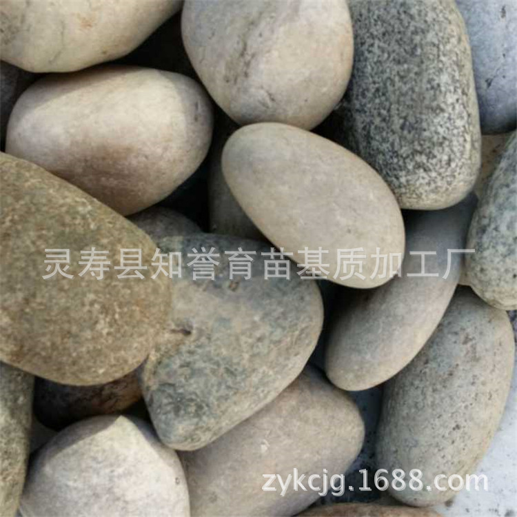 厂家供应各种颜色石头 鹅卵石 园林 造景 铺路鹅卵石 鹅卵石刻字