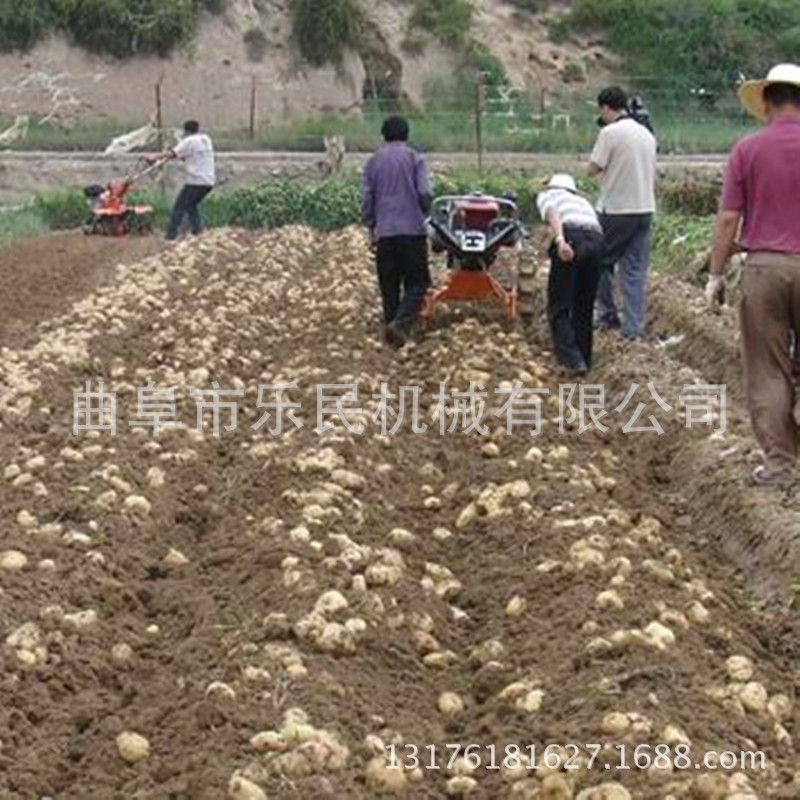 2014925132358_副本