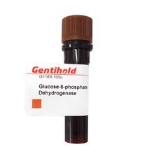 实验试剂 Gentihold原装 葡萄糖-6-磷酸脱氢酶 G1163-100u