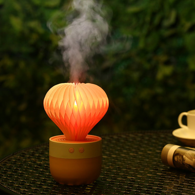 Cactus Ultrasonic wave atomization humidifier Static electricity originality Steaming the face cosmetology Replenish water Artifact wholesale