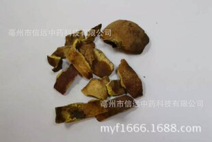 �����h������ș��ʯ��Ƥ