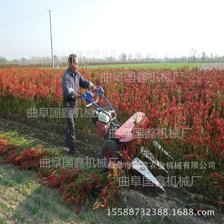 二连浩特链条传动大豆收割机 悬挂式收割机