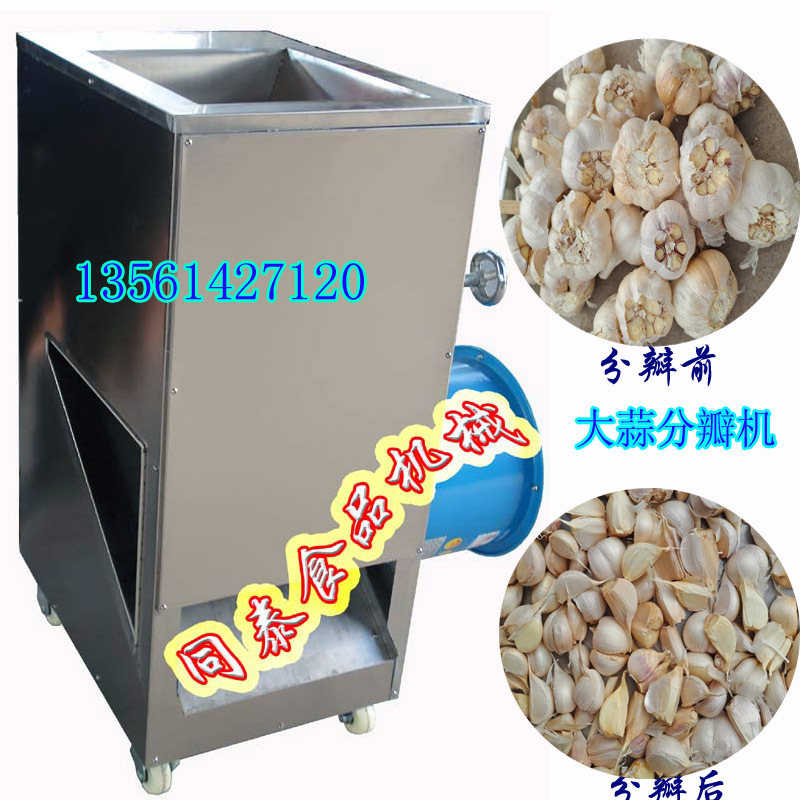 自动蒜种分瓣机，仿手工大蒜破瓣机