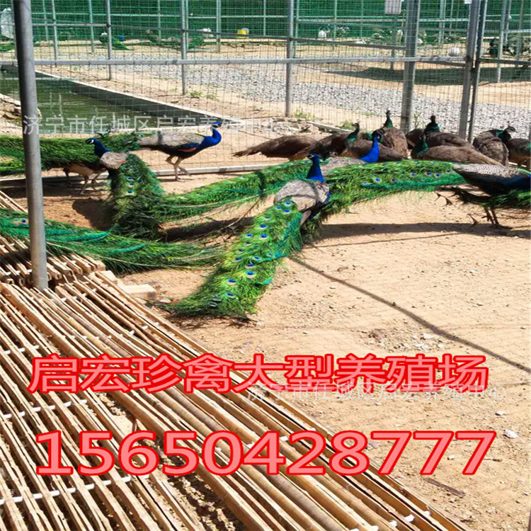 寰俊鍥剧墖_20170619200304_鍓湰