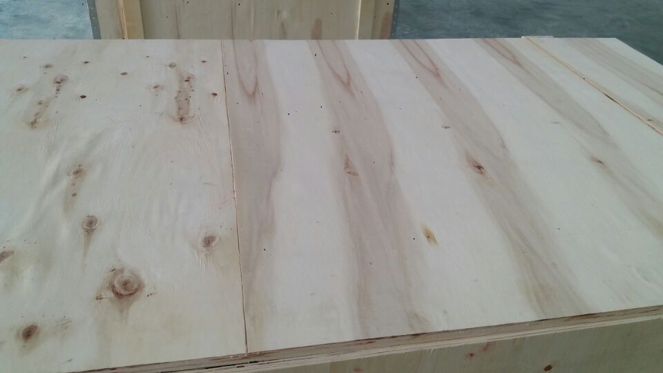 6CC84D47274809EBC24297ADA4F623