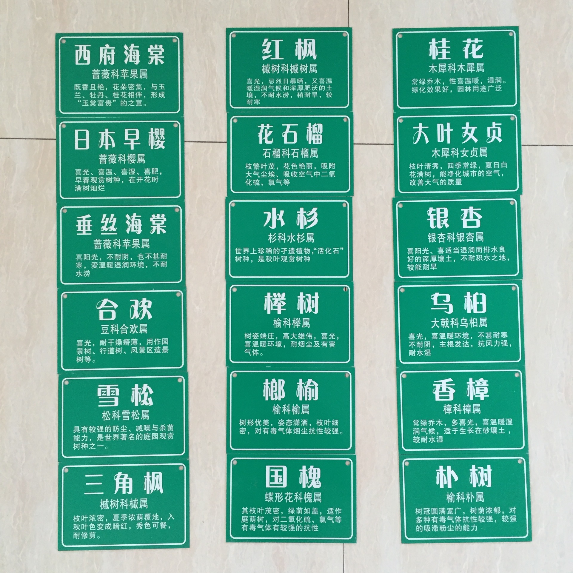 定制作树牌 古树名木保护牌 绿化园林树木挂牌 户外植物介绍标牌-阿里巴巴