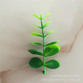 仿真植物仿真花草 8厘米六层大花生草 单支尤加利叶 草坪地板草