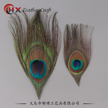 天然孔雀羽毛翎尾大小眼睛 DIY胸花头饰服装辅料设计羽毛装饰