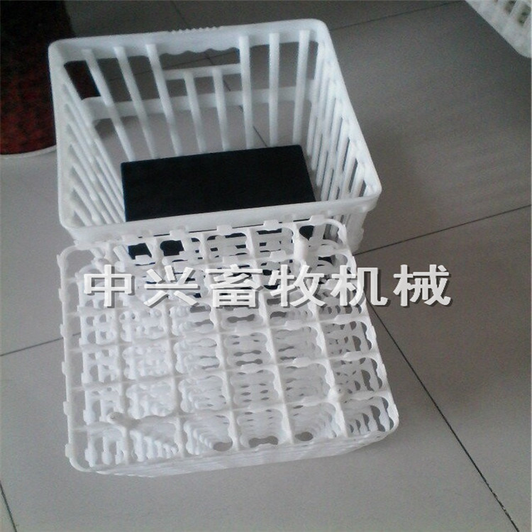 优质种蛋箱厂家鸡蛋周转箱批发