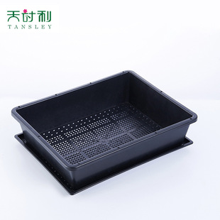 �L���ζ�������P �ڷ����бP�м� ��ɫ�����趹ѿ�� ���������
