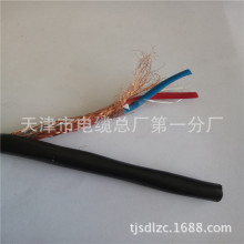 DJYVPVP  10*2*1.0  �p����Ӌ��C��|���g���Д��ϳɏS��