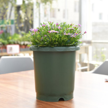 �ŵ��������ϻ��������Ż� GD-3060 �¼��� ����ֱ�� Լ300g