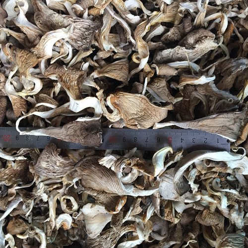 Supply of Yunnan Plateau specialty delicious oyster mushroom strips dried goods bulk dried mushrooms manufacturers wholesale