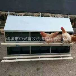 产蛋鸡窝的搭建图片鸡下蛋窝手动捡蛋箱产蛋箱