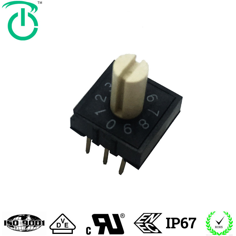 台湾荣千厂家供应TDR系列10*10插件6脚10档平头8421C编码开关