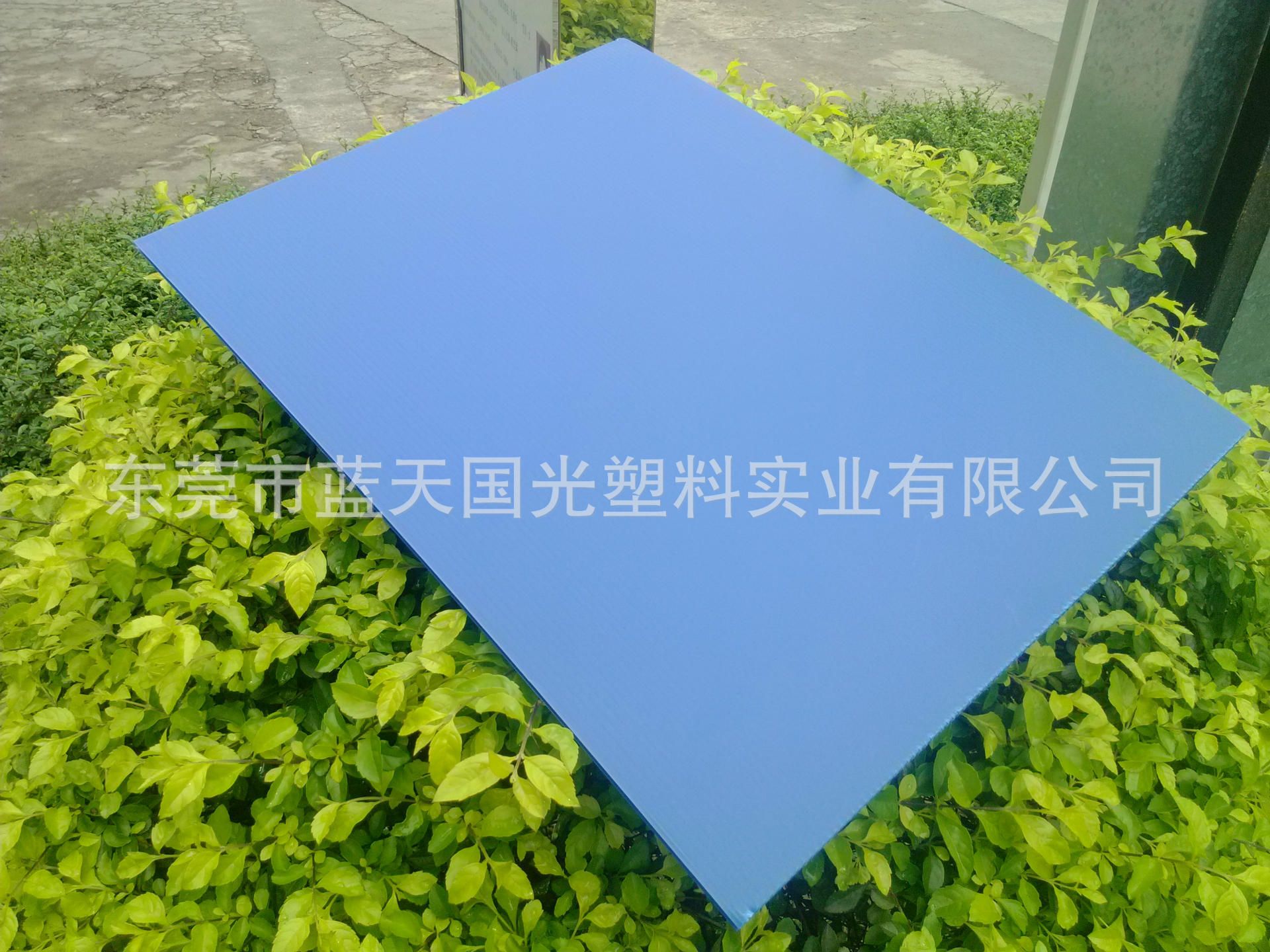 批发PP塑胶板 塑料中空板 塑料耐高温瓦楞板 防紫外线隔板