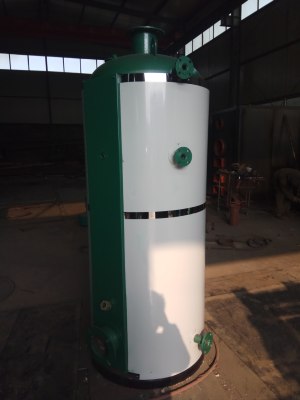 立式燃气熨烫水洗脱水烘干生物质颗粒锅炉 燃气蒸汽发生器|ms