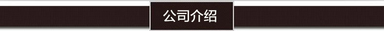 公司介绍