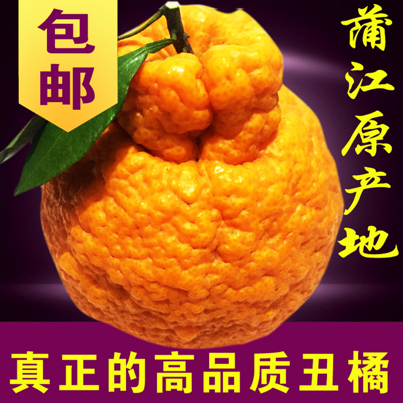 包邮丑柑橘新鲜采摘发货四川蒲江直发大果12