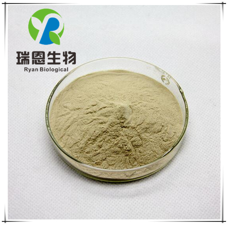 南瓜子提取物10:1南瓜籽粉生产南瓜籽提取物现货