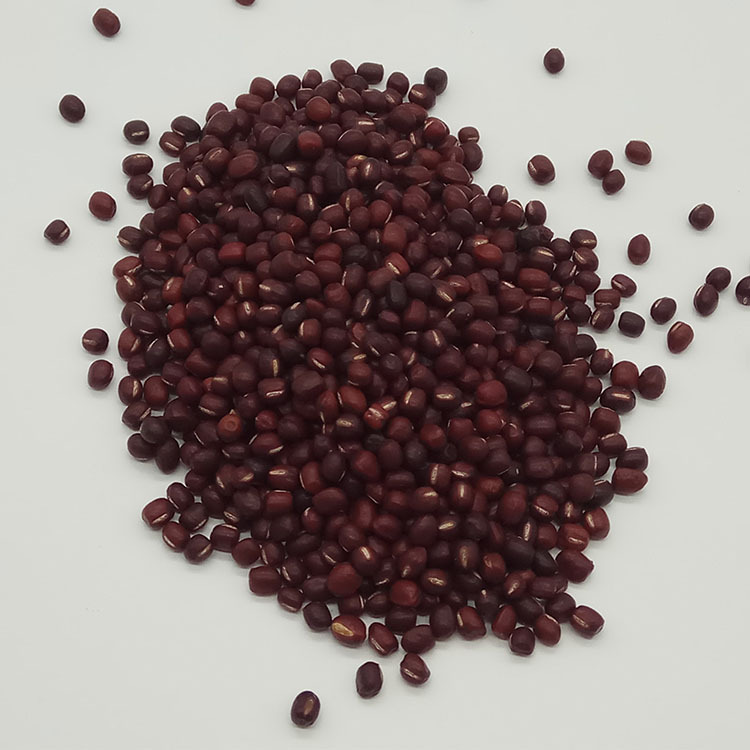 Dried Adzuki Beans Pearl Red Low Temperature Baked Edible Whole Beans Bulk Supply quality and texture