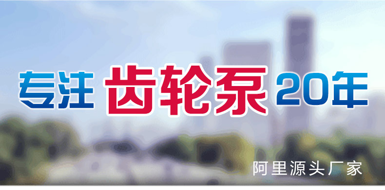 专注齿轮泵20年