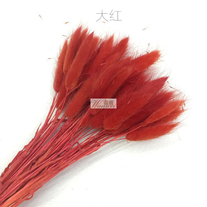 微信图片_20170521112033_副本