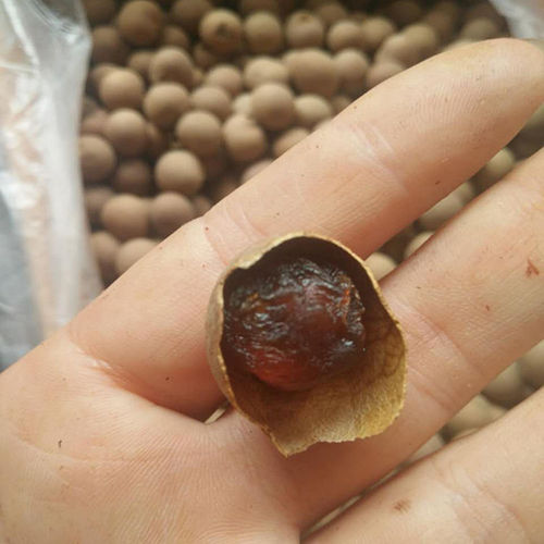 Fujian Putian Longan Dried, a direct source manufacturer for dropshipping, supply chain dropshipping, new arrival Longan meat