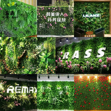 植物墙塑料草坪客厅壁挂塑料假米兰金钱叶草坪绿化工程绿植墙