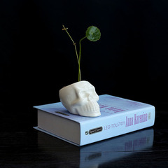 European-style cartoon character head white ceramic pot, minimalist creative micro-landscape garden succulent pot, water culture