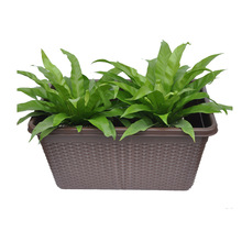 �L�����پ����� ���ϷNֲ�� ��ͥ�@ˇ�N���N������ �ٗl�P