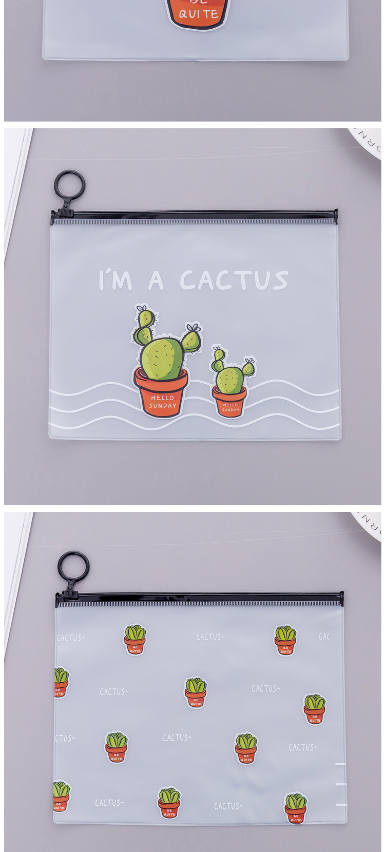 File Transparent Frosted Cactus Large Capacity Student Stationery Pencil Case display picture 5