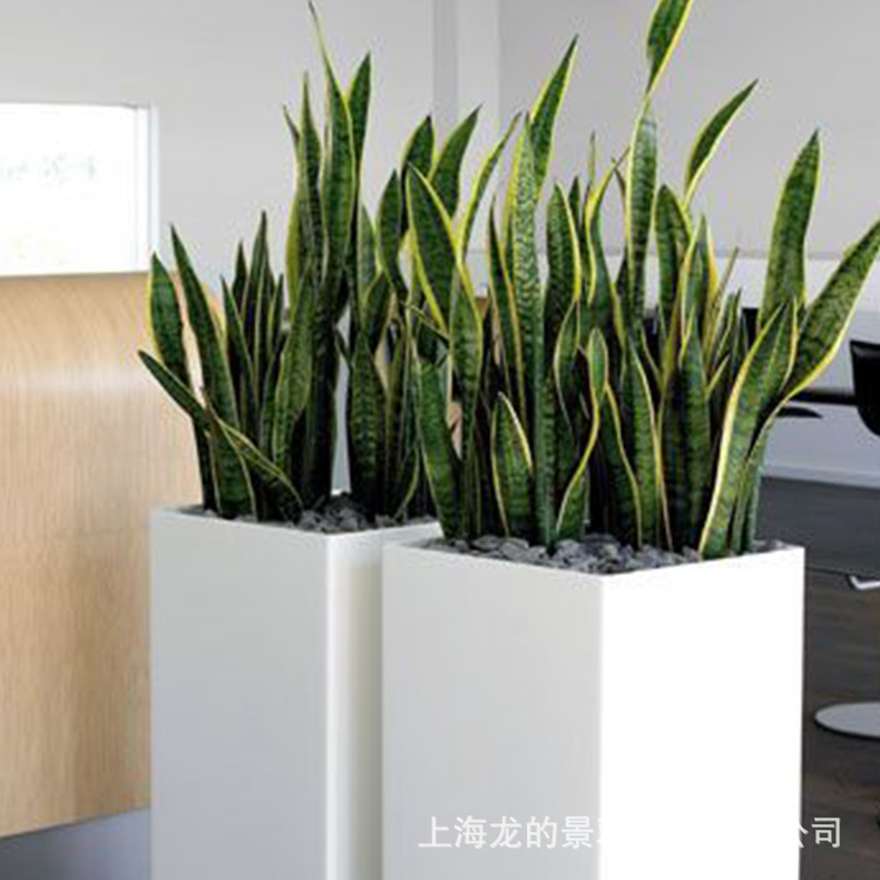 ����ֱ���ɸ���Ҫ�����̳����о��۹㳡���׸��ֲ����ֻ��趨��