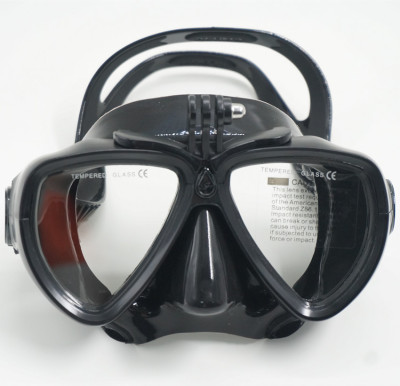 New Glasses outdoors Swimming Snorkeling face shield adult waterproof Fog Swimming goggles Manufactor wholesale