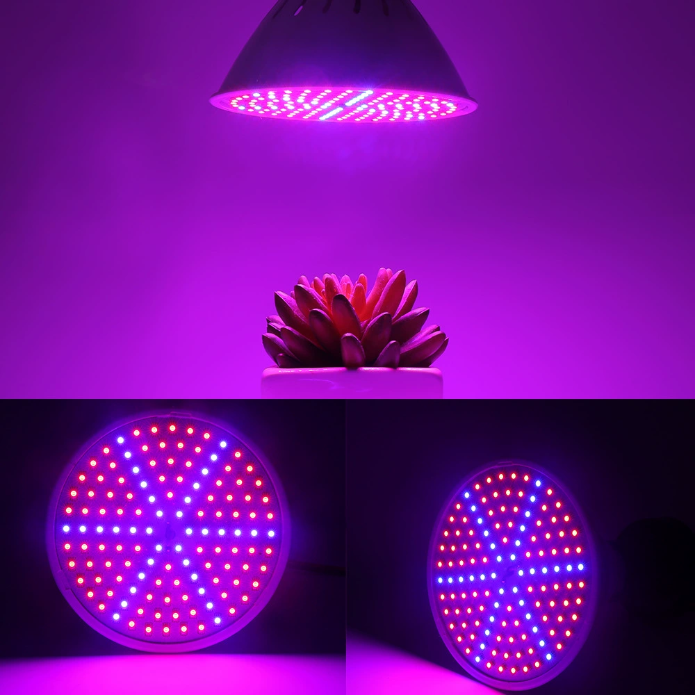 LED розетка, лампа для растений, заполняющее освещение, прямая продажа с завода