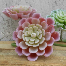 �������ʯ��ɏ��ֲ�����b���ֲë���^��ɏ���ϻ�ģ�ͬF؛