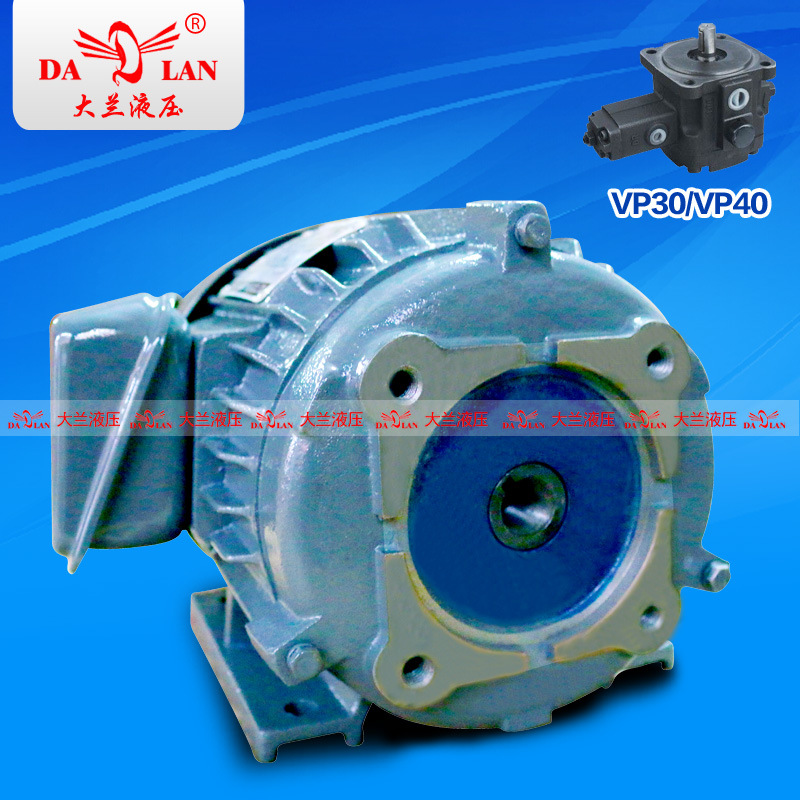 DG神域SHENYU液压内轴电机 VP30/40油泵专用电机1.5KW2.2KW3.7KW