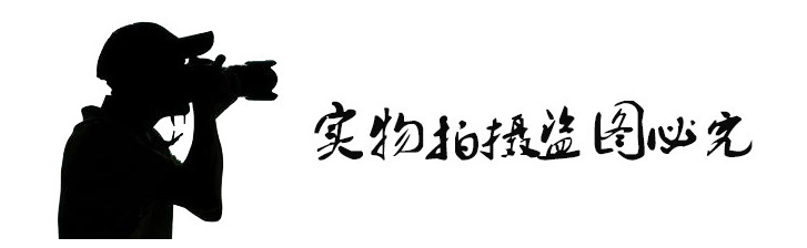 3149844881_1211838855