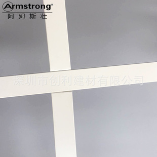 20���\�Ž��I ��ķ˹���컨������� �R����\ƽ����������