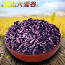 紫米 烘焙紫米  熟紫米  五谷雜糧  血糯米