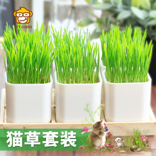 �߼�؈�����b �����մ�؈�� С���� ��ë��؈����؈��ʳ