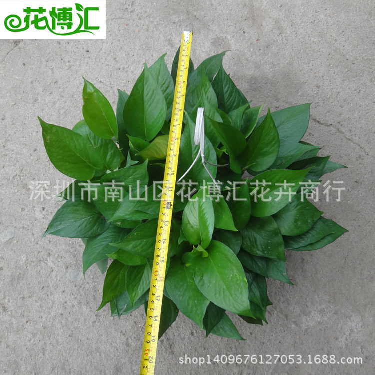 4182146041_843032287