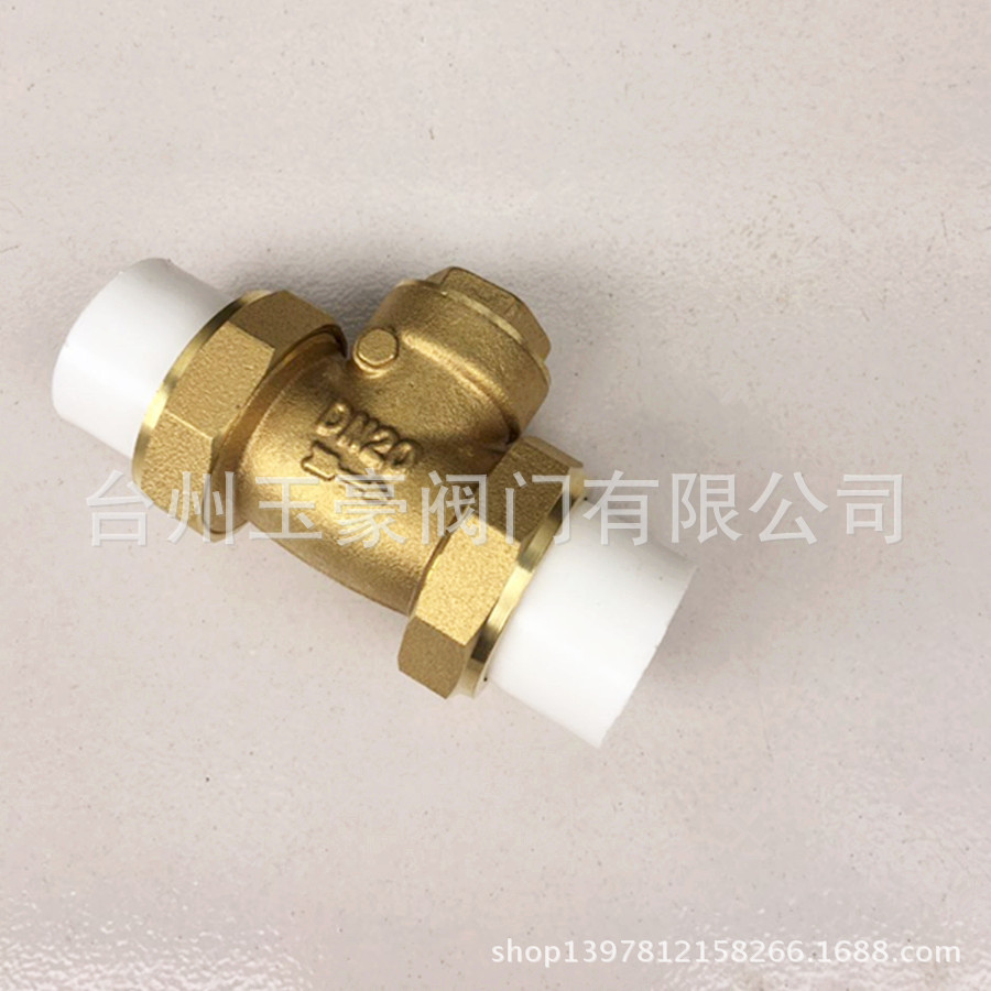 PPR止回阀20