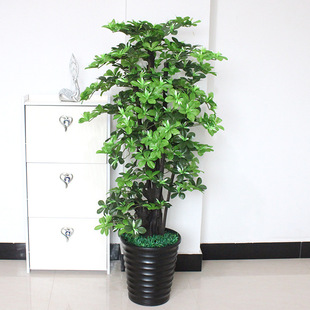 ���l�٘����Gֲ���Դ��Ϳ͏d����辰�ٻ��b��҃Ȍ�ľ�Uľ�m��