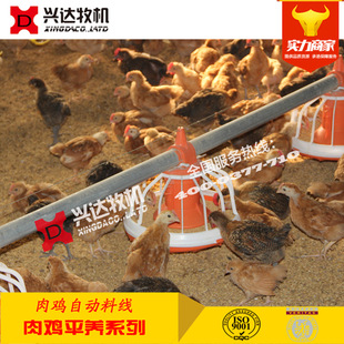 ���u�Ͼ��Ԅӻ��B�u�O�� ���u�B�u�����O�����u�Ԅ�ι�Ͼ�