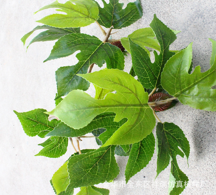 XRB-164构叶三叉枝立体3